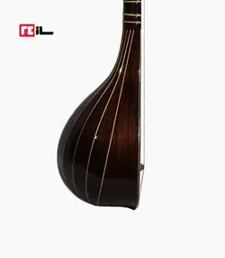 سه تار پورشقاقی الگو هاشمی رزوود هندی