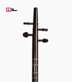 سه تار پورشقاقی الگو هاشمی رزوود هندی