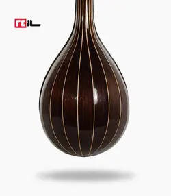 سه تار پورشقاقی الگو هاشمی رزوود هندی