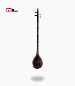 سه تار پورشقاقی الگو هاشمی رزوود هندی