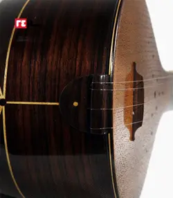 سه تار پورشقاقی الگو هاشمی رزوود هندی