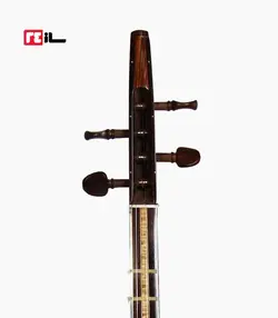 سه تار پورشقاقی الگو هاشمی رزوود هندی