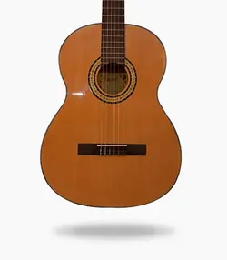 گیتار Jin Yin JY-E150 | ساز24