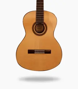 گیتار Phoenix SCG003G3-39