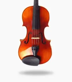 ویولن TF 803 - 4/4