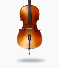 ویولن سل TF 132