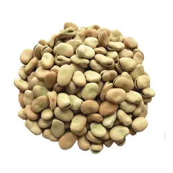 خرید اینترنتی باقلا | فروشگاه اینترنتی سبد تازه