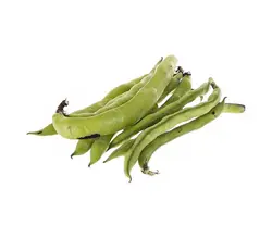 خرید اینترنتی باقلا تازه با پوست | فروشگاه اینترنتی سبد تازه