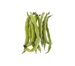 خرید اینترنتی باقلا تازه با پوست | فروشگاه اینترنتی سبد تازه