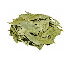 برگ سنا خشک - 250 گرم