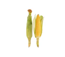 خرید اینترنتی بلال تازه | فروشگاه اینترنتی سبد تازه