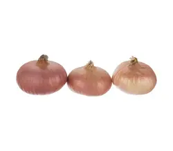 خرید اینترنتی پیاز آلی | فروشگاه اینترنتی سبد تازه