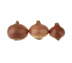 خرید اینترنتی پیاز زرد درجه دو | فروشگاه اینترنتی سبد تازه