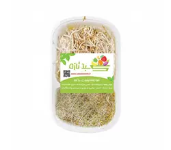 جوانه میکس ترکیبی - 120 گرم