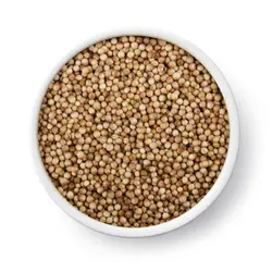 دانه گشنیز