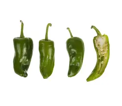 خرید اینترنتی فلفل همدانی | فروشگاه اینترنتی سبد تازه