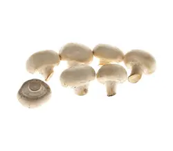 خرید اینترنتی قارچ تازه | فروشگاه اینترنتی سبد تازه