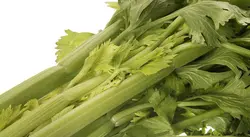 خرید اینترنتی کرفس تازه | فروشگاه اینترنتی سبد تازه