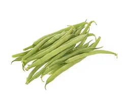 خرید اینترنتی لوبیا سبز | فروشگاه اینترنتی سبد تازه