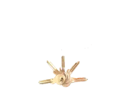 قفل حیاطی فِرِل 5 کلیدی