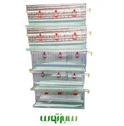 قفس بلدرچین پنج طبقه اقتصادی سبز توس