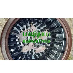 پرکن مرغ و بلدرچین کبک ۲کاره