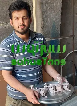 پرکن مرغ و بلدرچین کبک ۲کاره