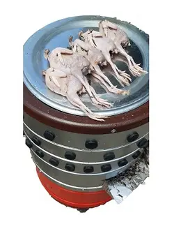 پرکن بلدرچین ، پر کن کبک