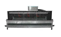 قفس پرورش و نگهداری بلدرچین ۱ طبقه