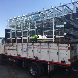 قفس کوچک بلدرچین