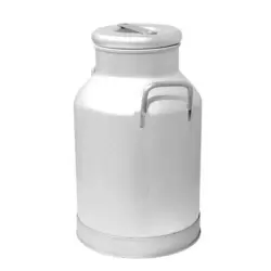 بیدون ۳۰ لیتری