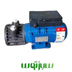 الکتروموتور و پمپ شیردوش کوپله