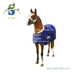 جل زمستانه اسب مدل ژیوان پیتکو