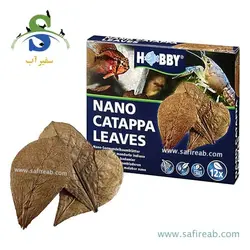 برگ نانو کاتاپا آکواریوم هابی