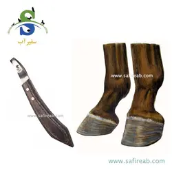 رنت نعل بندی لوپ اسب لالا