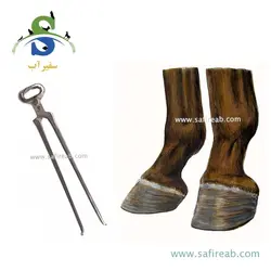 سم چین اسب لالا