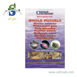 صدف ماسل کامل منجمد اوشن نوتریشن