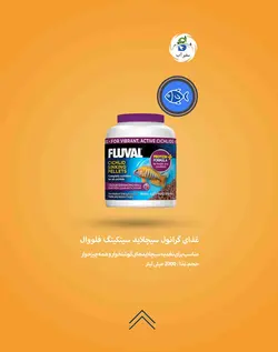 غذای گرانول سیچلاید سینکینگ (200 ، 750 میل) فلووال