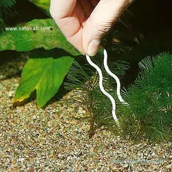 گیره نگهدارنده ریشه پرو اسکیپ جی بی ال