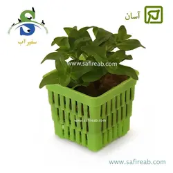 باکوپا متوسط