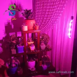 چراغ وال واشر 3 وات گیاه