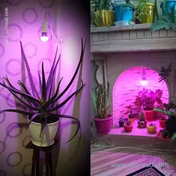 لامپ 7 وات (سرپیچی) گیاه