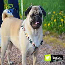 قلاده کتفی آرلچینو در 3 طرح 2 رو (سایز L) فرپلاست