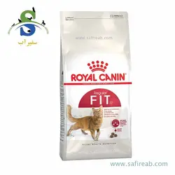 غذای خشک مخصوص گربه بالغ با فعالیت معمولی (10 کیلوگرم) رویال کنین