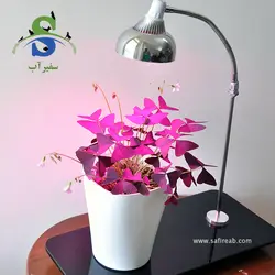 نور و استند گیاه مدل انعطاف پذیر با پایه سکوریت کد DN606