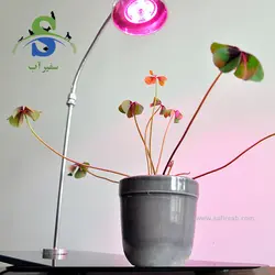 نور و استند گیاه مدل انعطاف پذیر با پایه سکوریت کد DN606