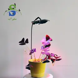 نور و استند گیاه مدل گلبرگی صفحه جمع کد DN605