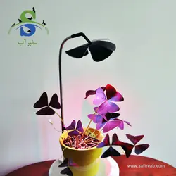 نور و استند گیاه مدل گلبرگی صفحه جمع کد DN605