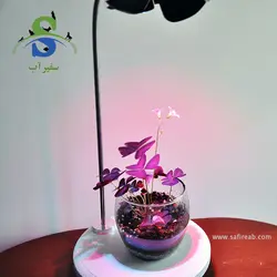 نور و استند گیاه مدل گلبرگی صفحه جمع کد DN605