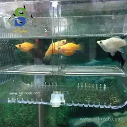پرورشگاه و زایشگاه و قرنطینه ماهی کوچک